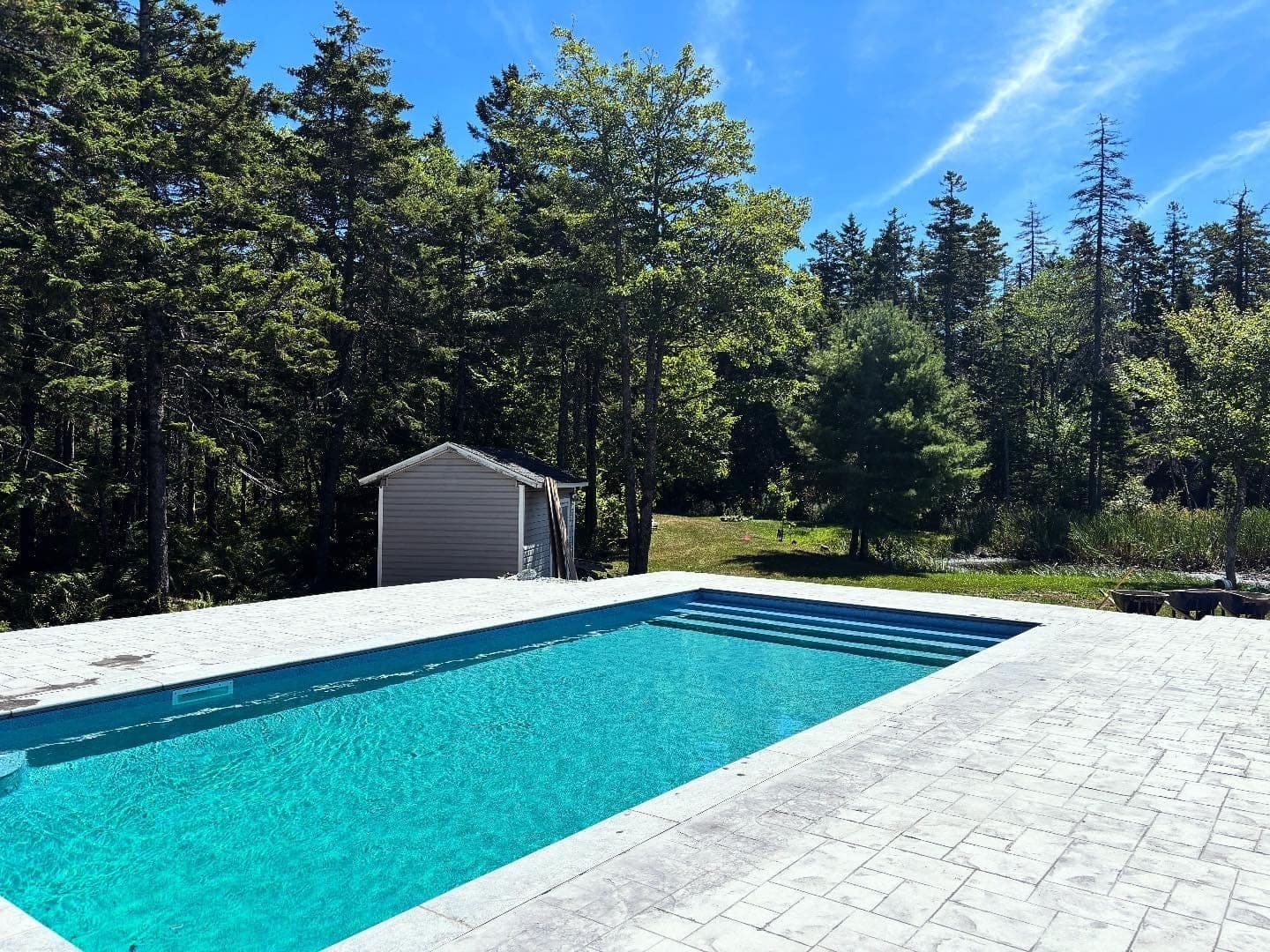 Pool feature with trees and pool shed